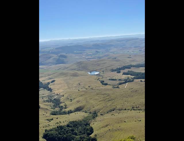 80HA FARM FOR SALE IN DARGLE